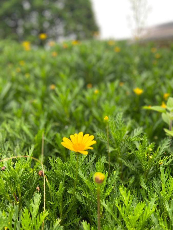 Отель Da Lat Sunshine Garden Экстерьер фото